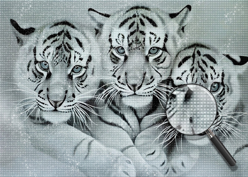 Drei weiße Tiger Diamond Painting