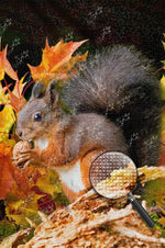 Eichhörnchen mit Nuss und Ahorn Diamond Painting