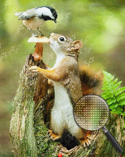 Eichhörnchen und Vogel Diamond Painting