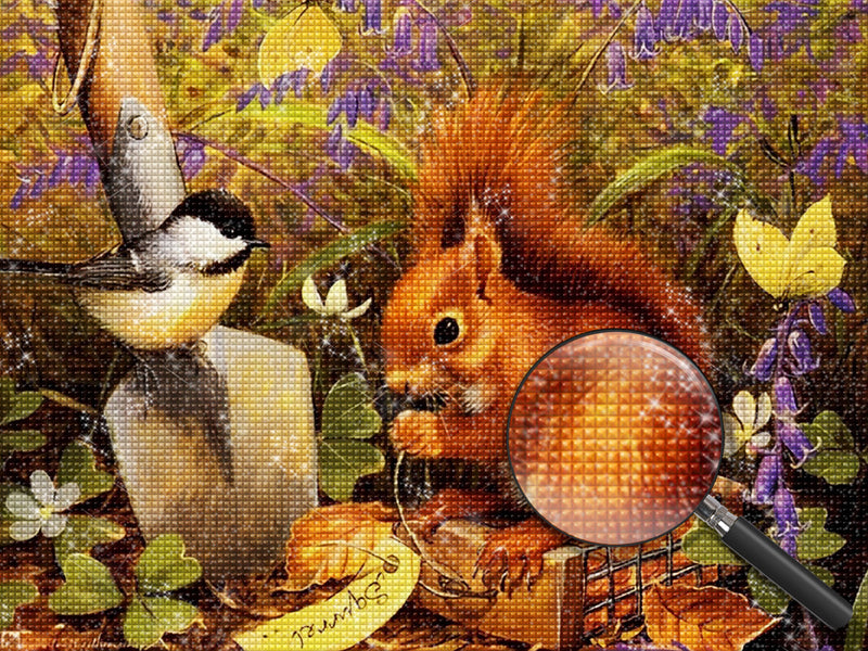 Eichhörnchen Vogel Diamond Painting