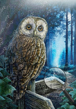 Eule auf dem Straßenschild Diamond Painting