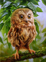 Eule auf dem Zweig Diamond Painting