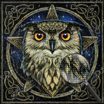 Eule Diamond Painting