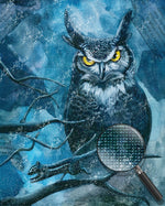 Eule unter dunklen Wolken Diamond Painting