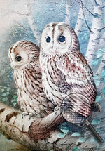 Eulen auf der Birke Diamond Painting