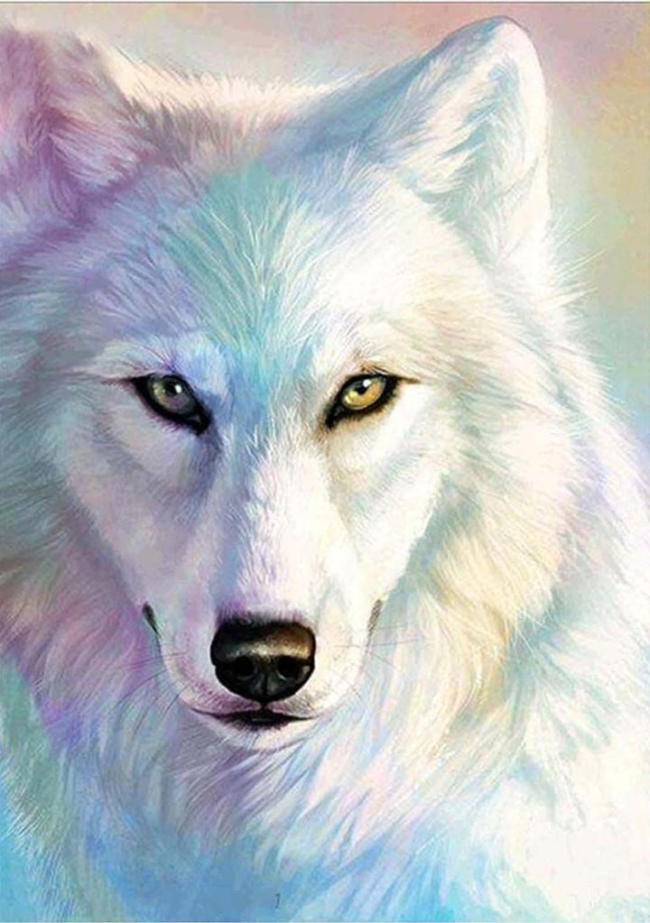 Farbiger Schneewolf Diamond Painting