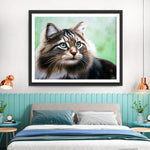 Flauschige Maine-Katze Diamond Painting