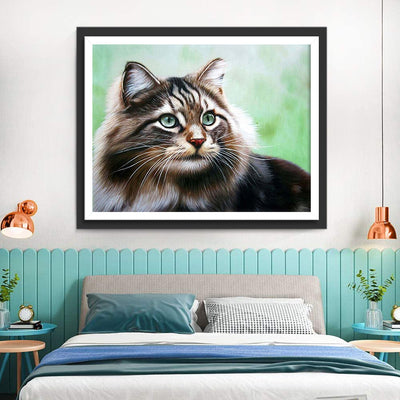 Flauschige Maine-Katze Diamond Painting