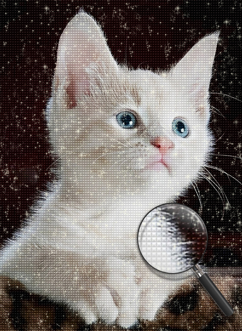 Flauschige weiße Katze Diamond Painting