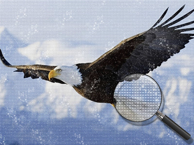 Fliegender Adler über dem Schneeberg Diamond Painting