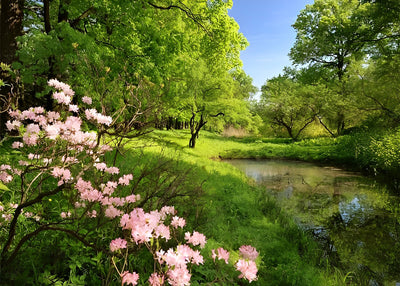 Frühling Wald Diamond Painting