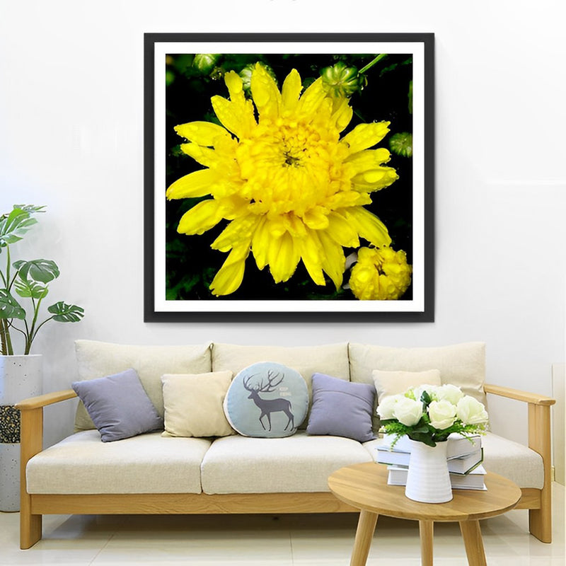 Gelbe Chrysantheme Diamond Painting