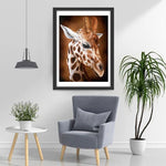 Giraffe Diamond Painting