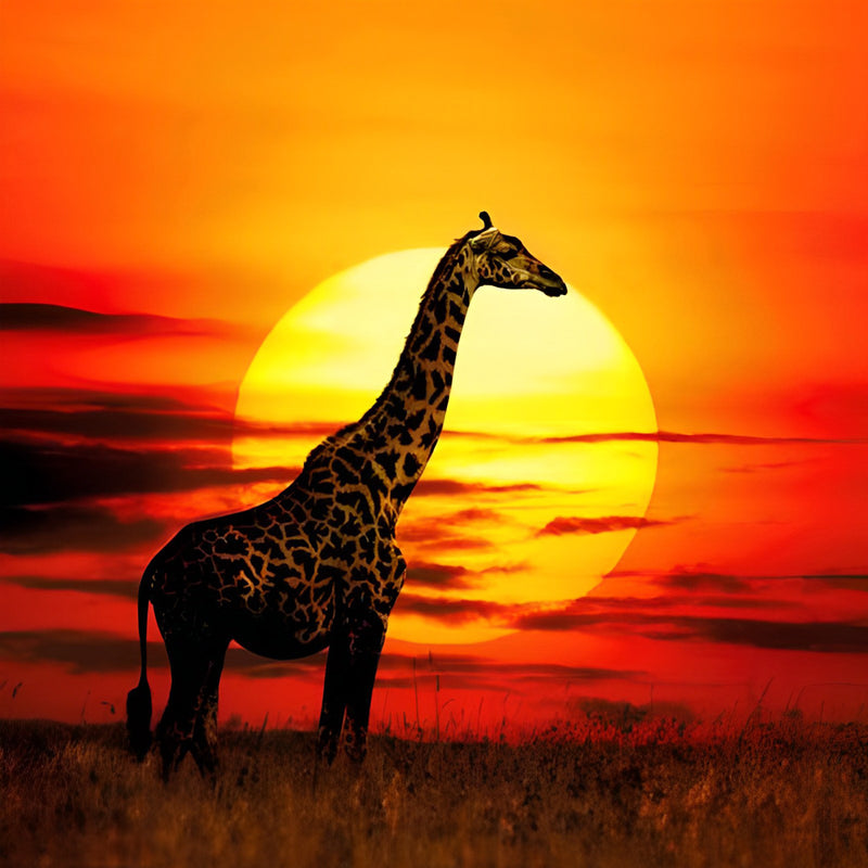 Giraffe vor Sonnenaufgang Diamond Painting