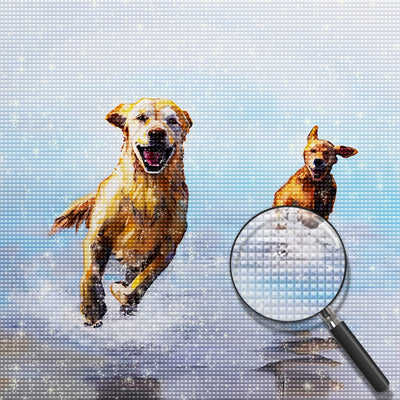 Golden Retriever auf dem Wasser Diamond Painting