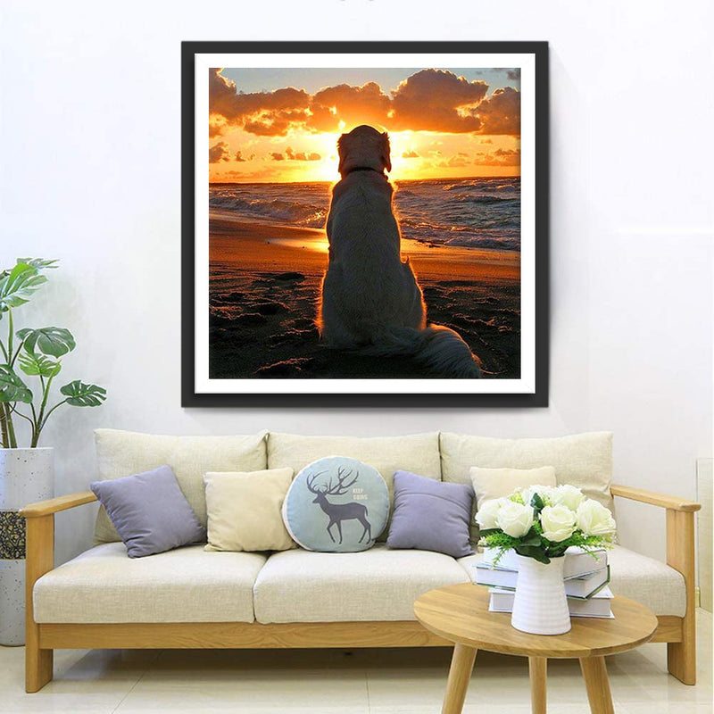 Golden Retriever bei Sonnenaufgang Diamond Painting