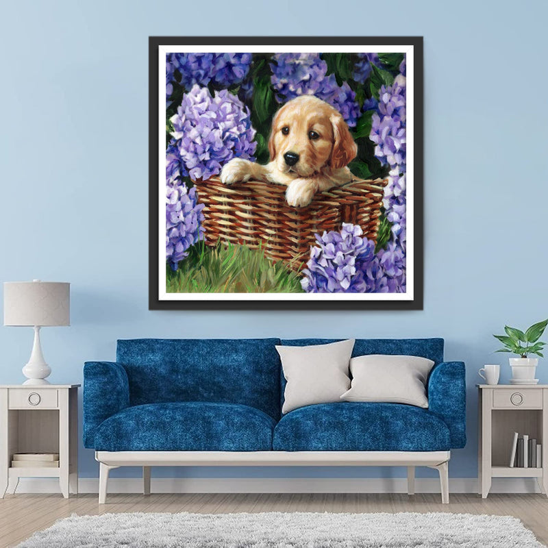 Golden Retriever in den Hortensien Diamond Painting