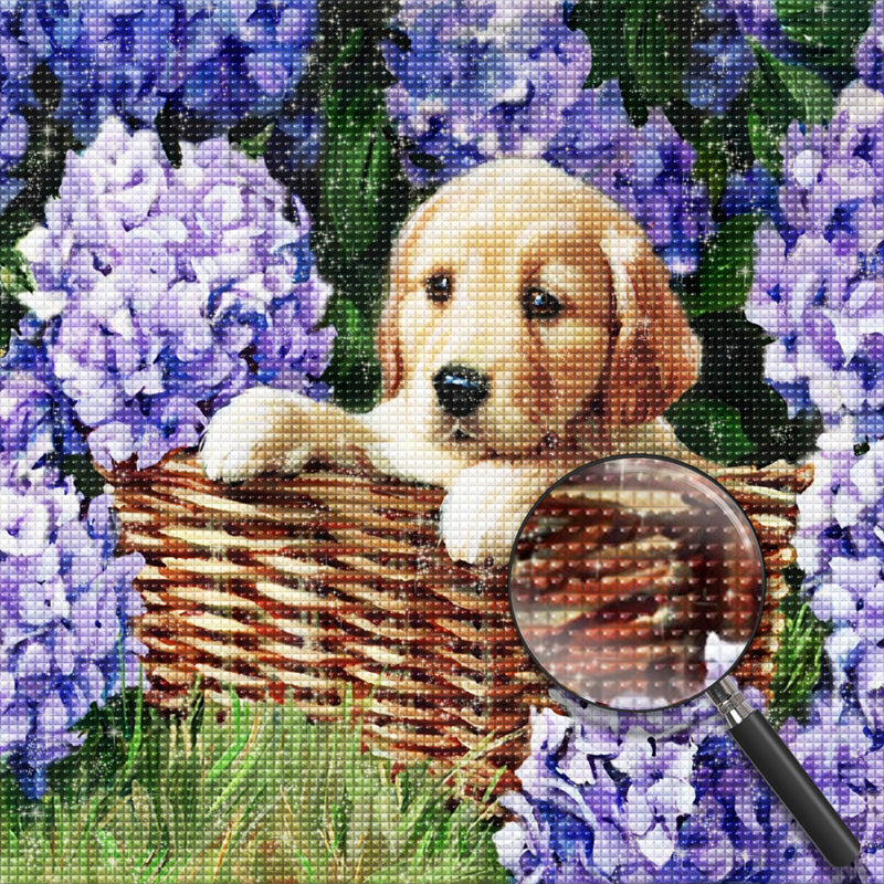 Golden Retriever in den Hortensien Diamond Painting