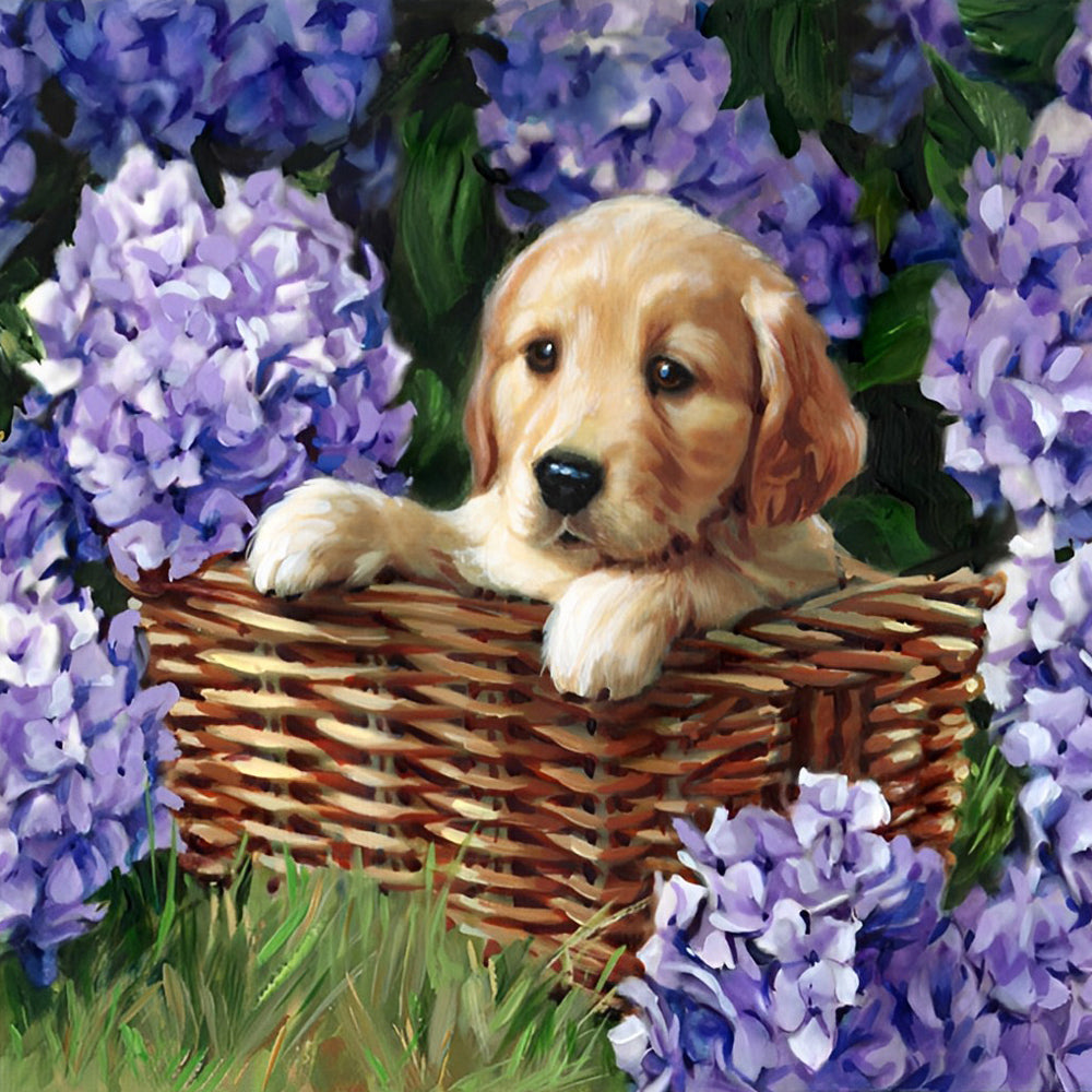 Golden Retriever in den Hortensien Diamond Painting