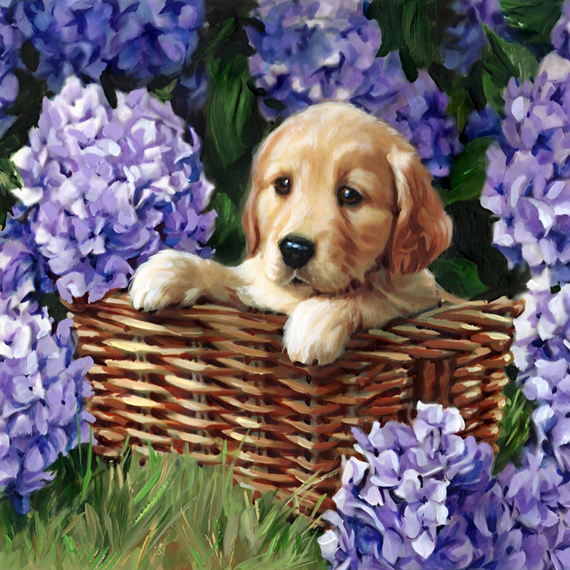 Golden Retriever in den Hortensien Diamond Painting