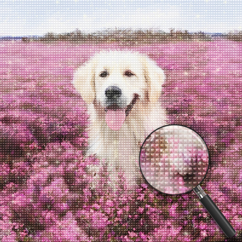 Golden Retriever in rosa Blumen Diamond Painting