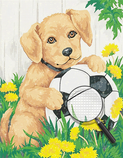 Golden Retriever mit Fußball Diamond Painting