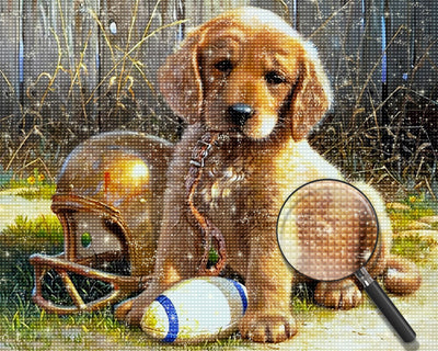 Golden Retriever und Rugby Diamond Painting