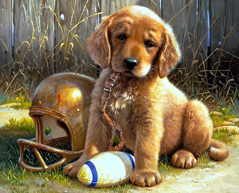 Golden Retriever und Rugby Diamond Painting