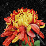 Golden-rote Blume Diamond Painting