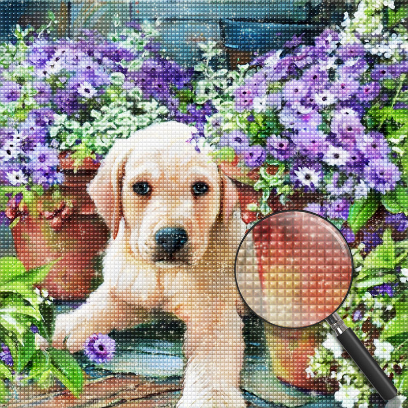 Goldener Retriever in lila Blumen Diamond Painting