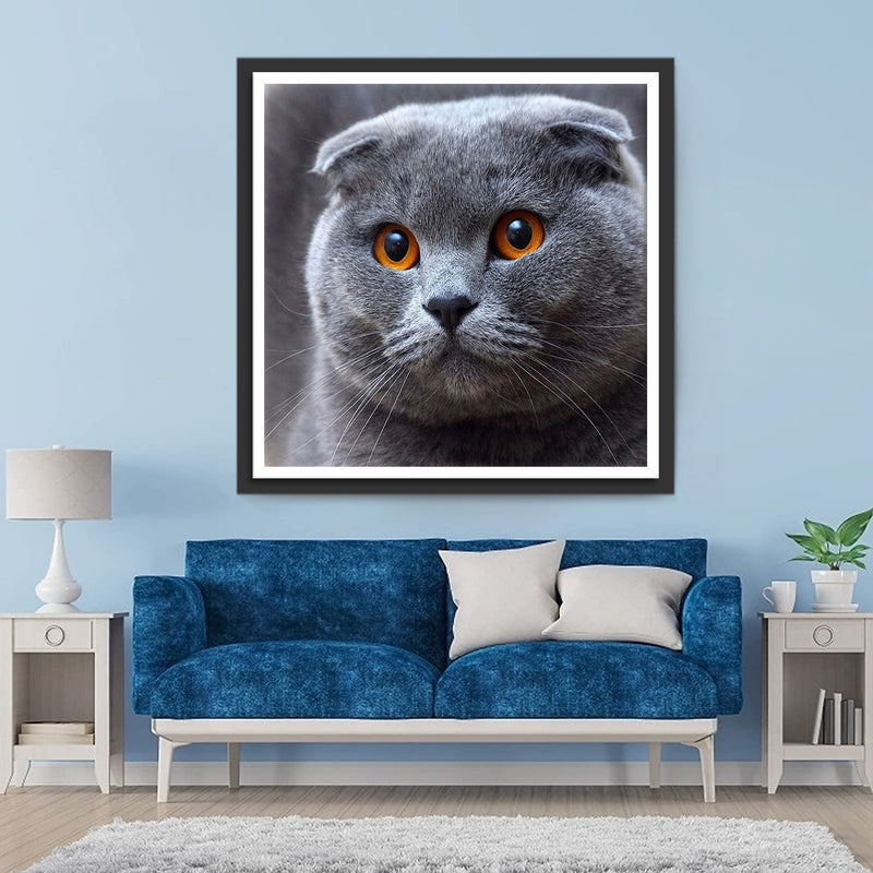 Graue Katze Diamond Painting