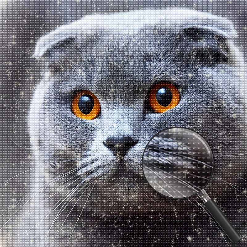 Graue Katze Diamond Painting