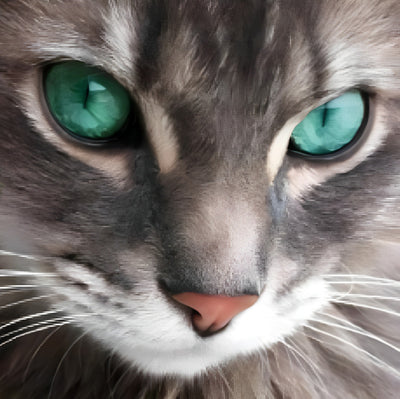 Graue Katze mit grünen Augen Diamond Painting