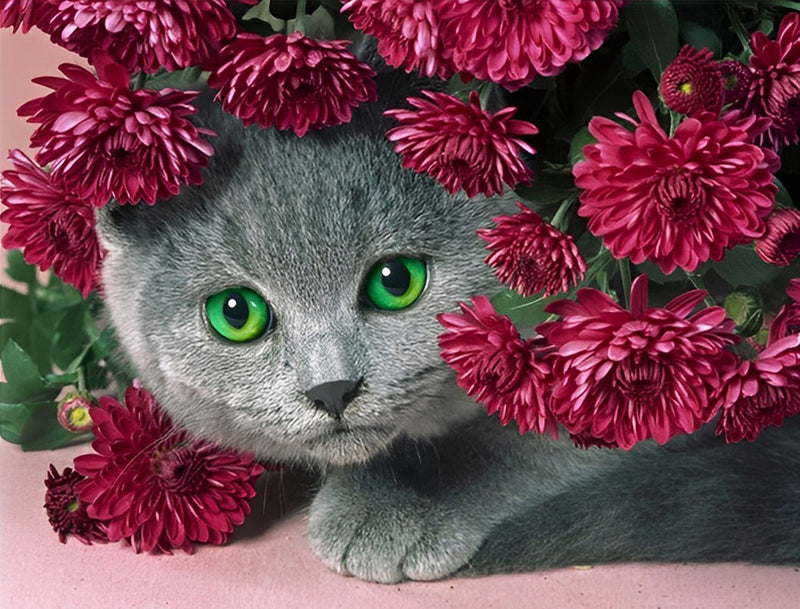 Graue Katze und rote Chrysantheme Diamond Painting