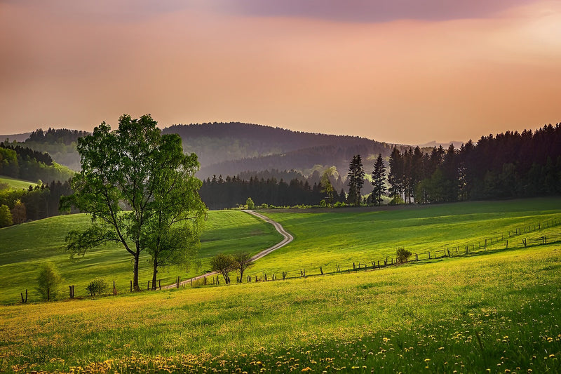 Grünes Feld und ferne Berge Diamond Painting