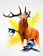 Hirsch und Vögel in Wasserfarben Diamond Painting