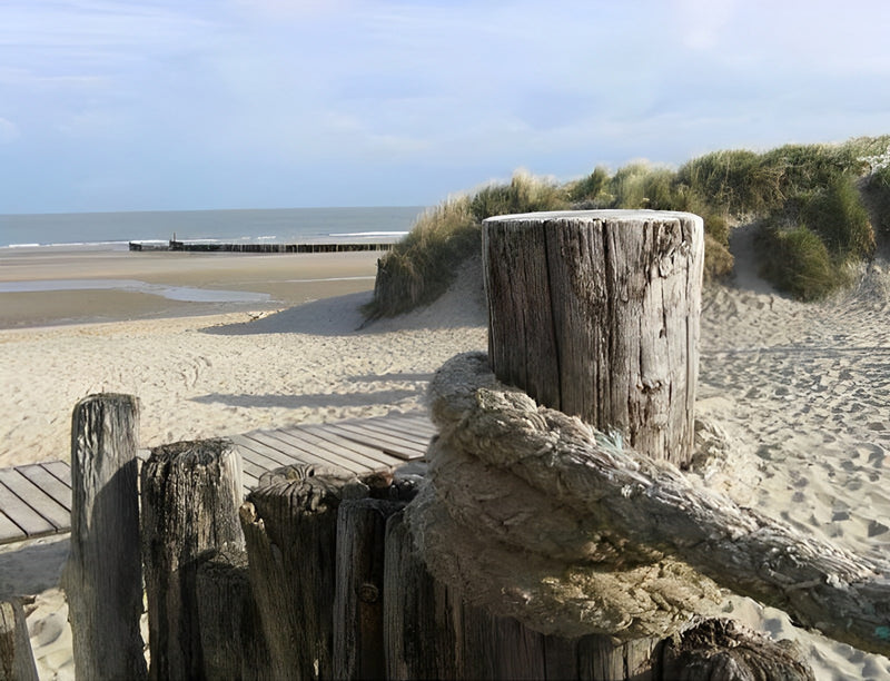 Holzpfahl am Strand Diamond Painting