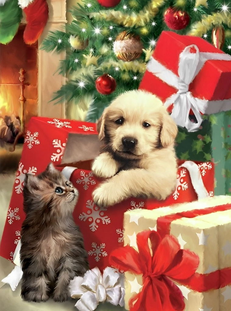 Hund in der Geschenkbox und Katze Diamond Painting