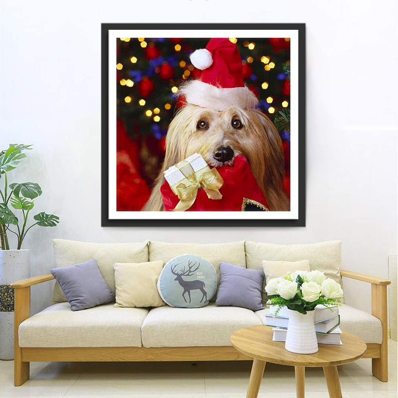 Hund in Weihnachtsmütze Diamond Painting