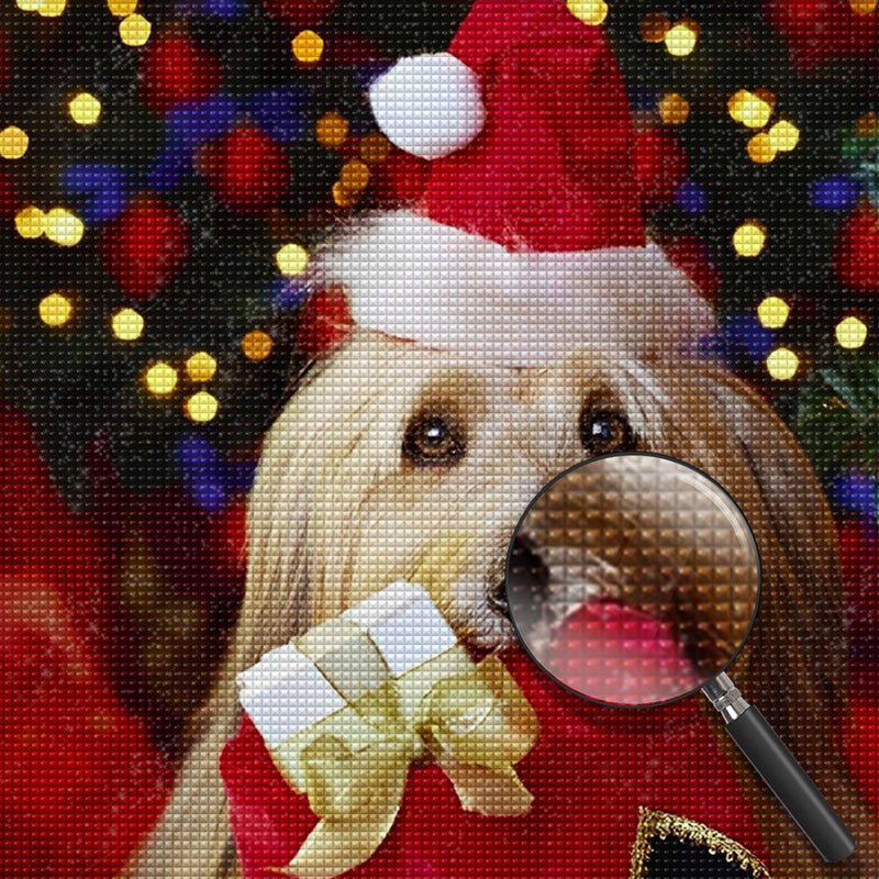 Hund in Weihnachtsmütze Diamond Painting