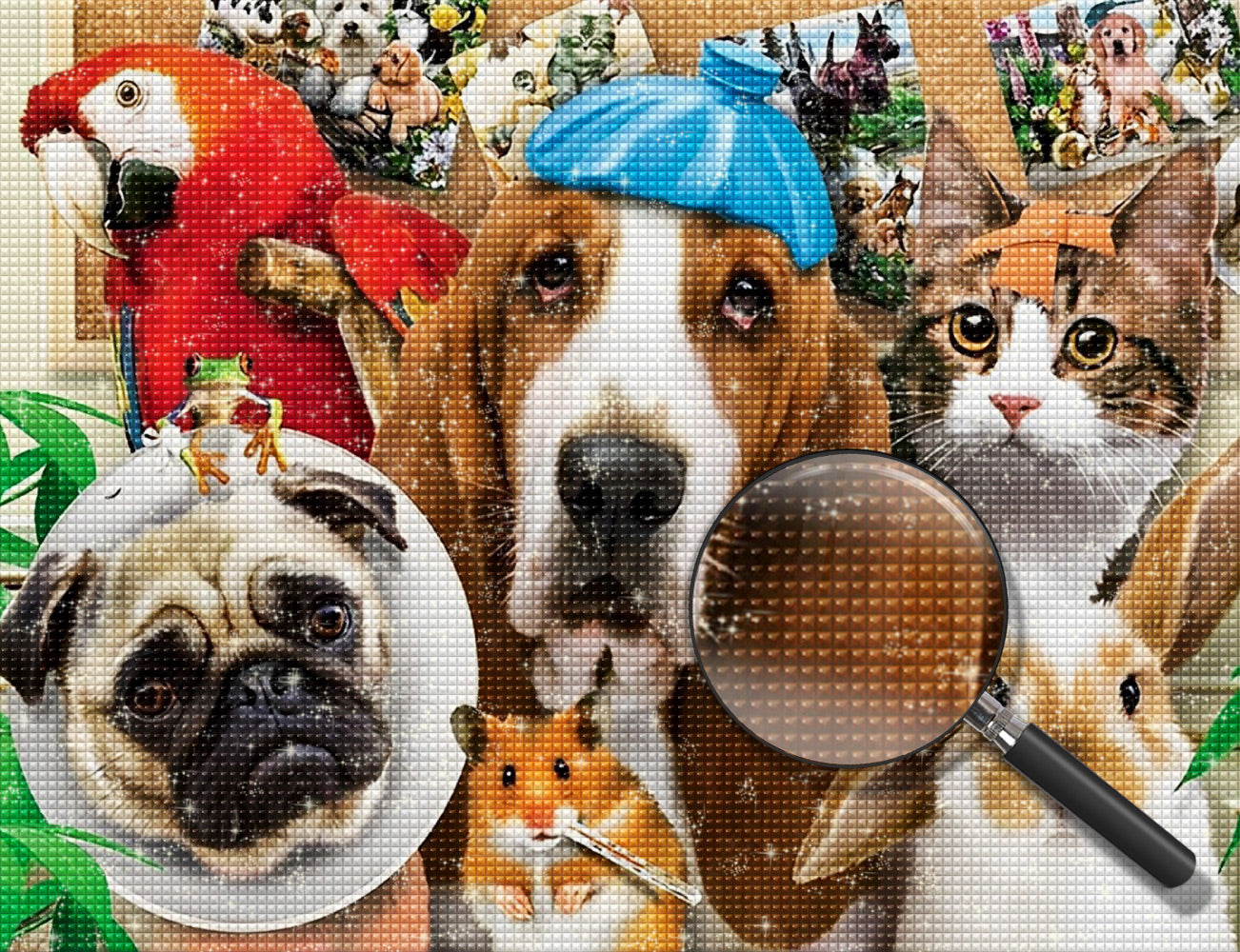 Hund, Katze, Kaninchen und Papagei vor der Fotowand Diamond Painting