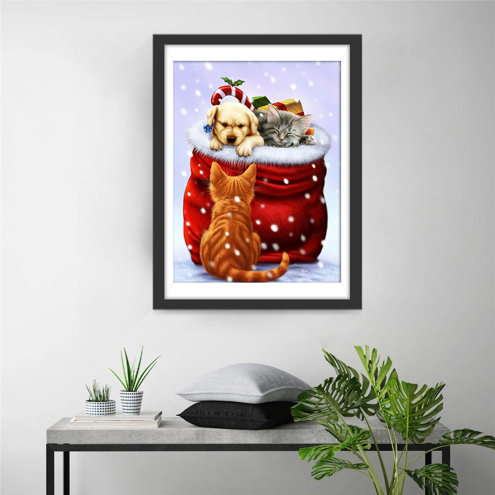 Hund und Katze im Weihnachtsgeschenk Diamond Painting