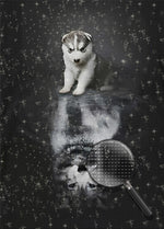 Hund und Wolf im Dunkeln Diamond Painting