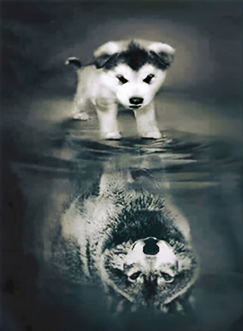 Hund und Wolf im Wasser Diamond Painting