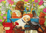 Hunde im Garten Diamond Painting
