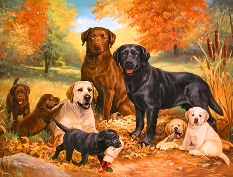 Hunde im Wald im Herbst Diamond Painting