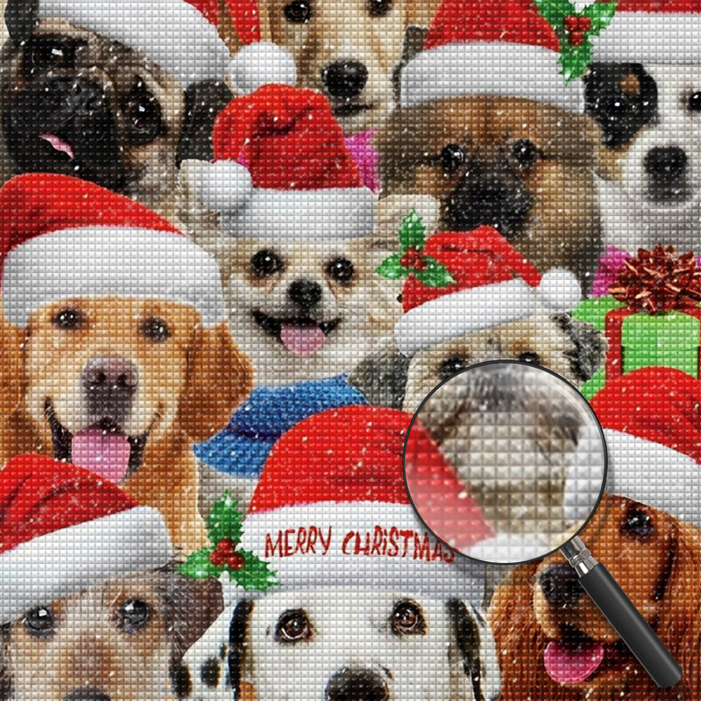 Hunde mit Weihnachtsmützen Diamond Painting