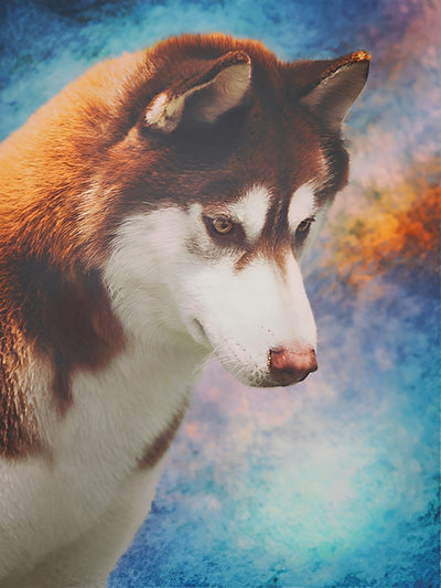 Husky Diamond Painting