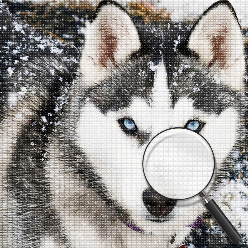 Husky im Schnee Diamond Painting