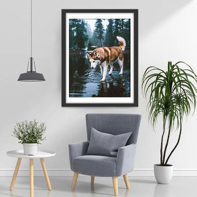 Husky im Wald Diamond Painting